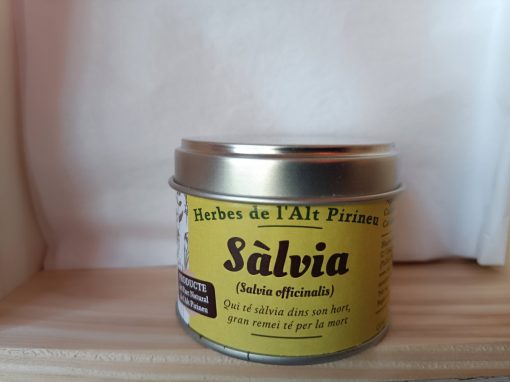 Sàlvia