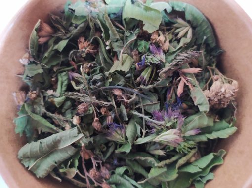 Infusió “Paeix”